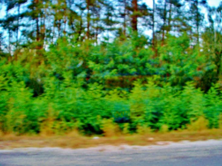 Демидів з panoramio.com - Demydiv