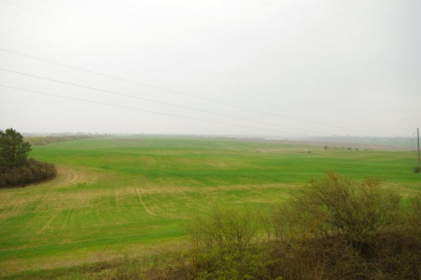 Кустин з panoramio.com - Кустин
