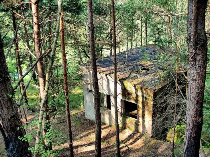 Струмок з panoramio.com - Струмок