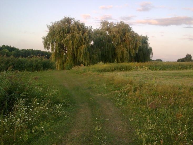 Шевченківка з panoramio.com - Shevchenkivka