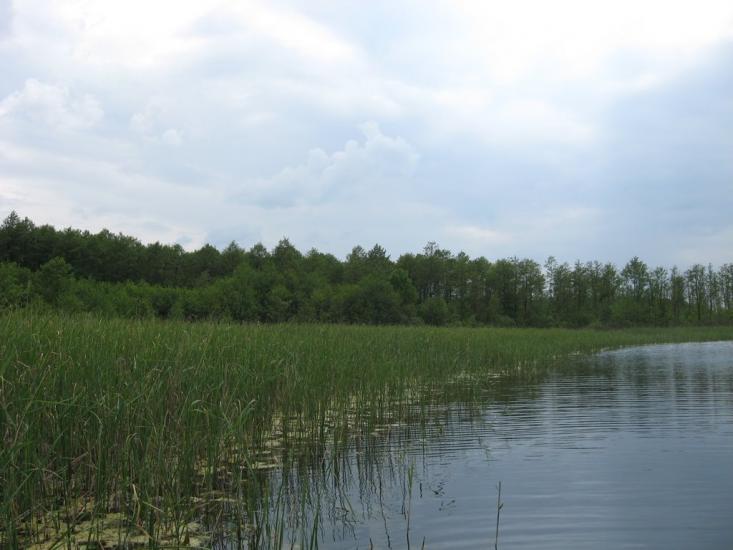 Турійськ з panoramio.com - Турийск