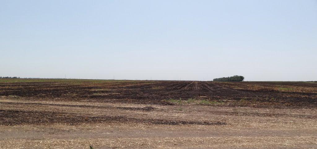 Балки з panoramio.com - Балки