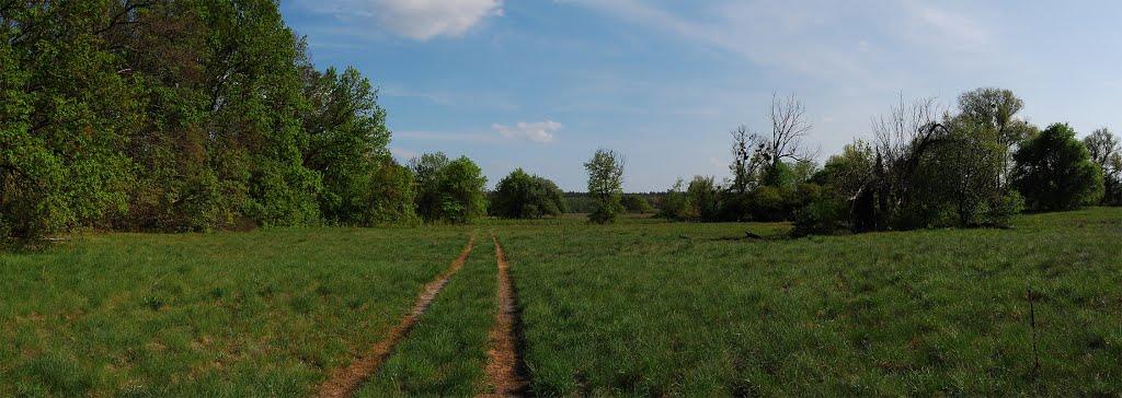 Мохнач з panoramio.com - Мохнач
