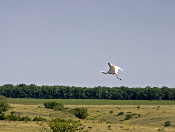 Недайвода з panoramio.com - Недайвода