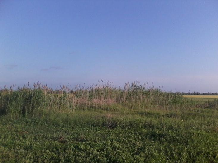 Червона Зірка з panoramio.com - Червоная Зирка