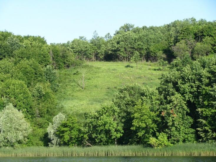 Рідний Край з panoramio.com - Рідний Край