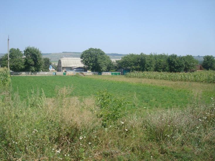 Велика Слобідка з panoramio.com - Великая Слободка