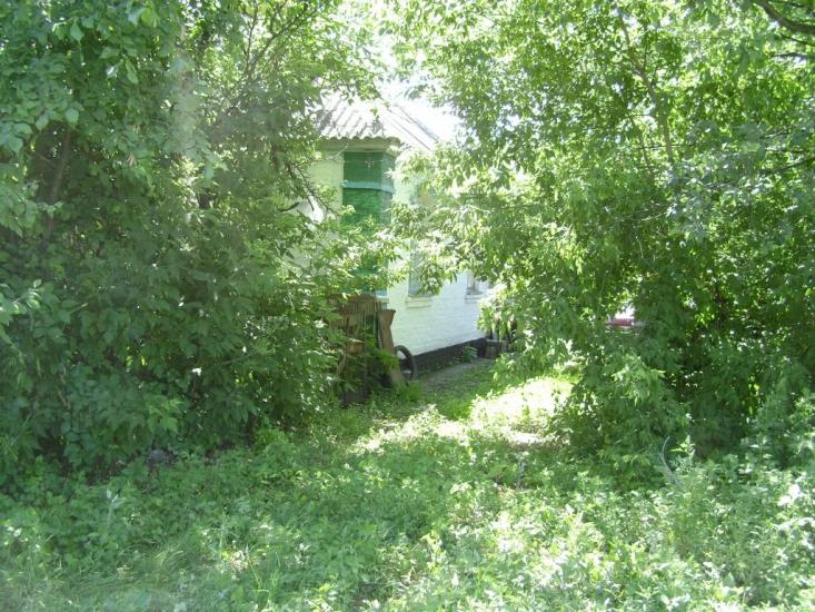 Брагинці з panoramio.com - Брагинці