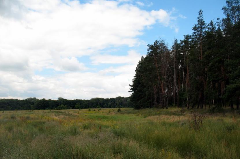 Синичине з panoramio.com - Синичине