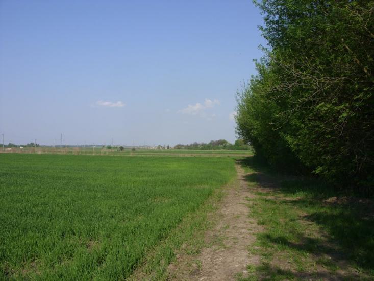 Буяни з panoramio.com - Буяни