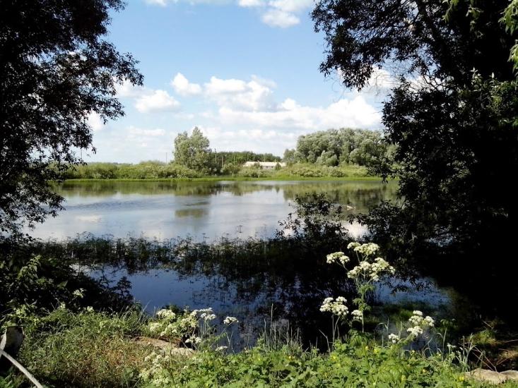 Єлизаветівка з panoramio.com - Єлизаветівка