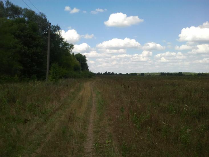 Лисогубівка з panoramio.com - Лисогубівка