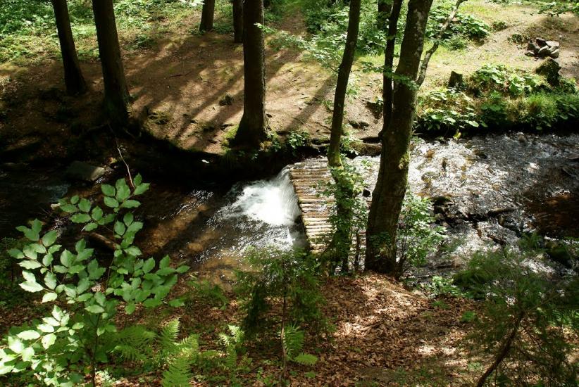 Пилипець з panoramio.com - Пилипец