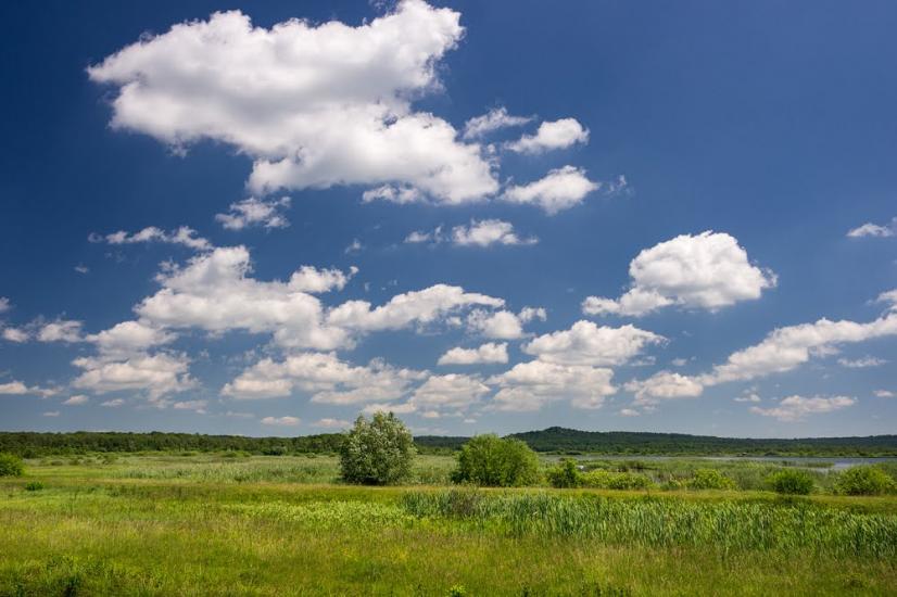 Івано-Франкове з panoramio.com - Ivano-Frankove