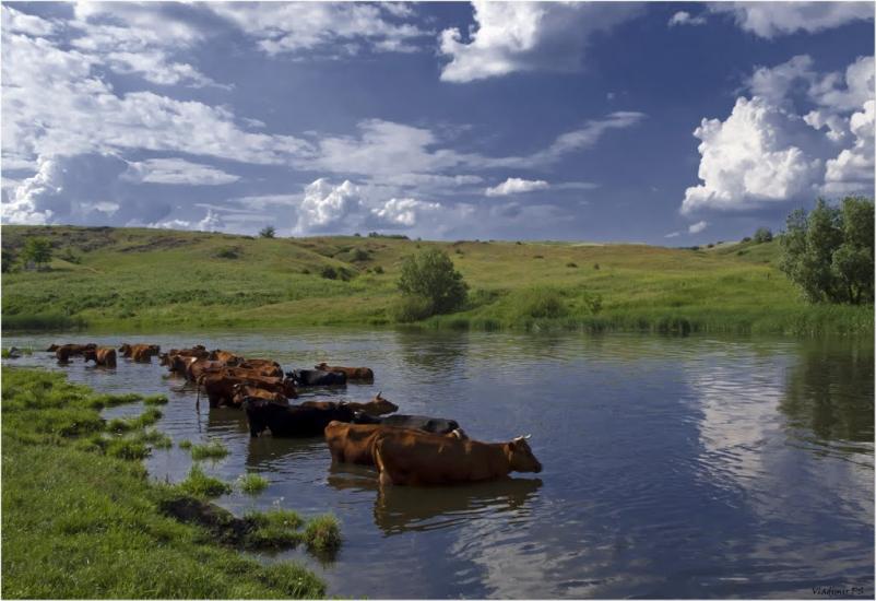 Недайвода з panoramio.com - Недайвода