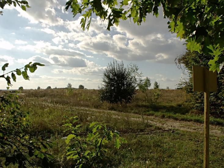 Хотин з panoramio.com - Хотин