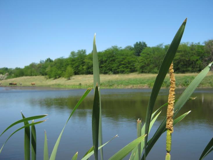 Христофорівка з panoramio.com - Христофоровка