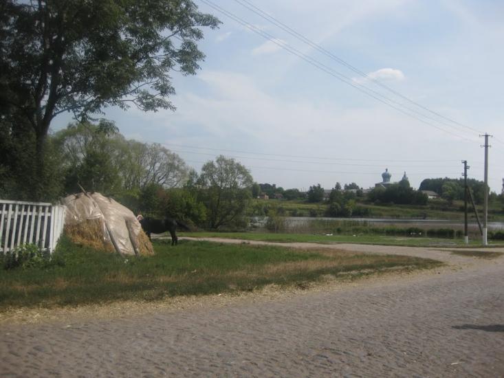 Черепашинці з panoramio.com - Cherepashyntsi