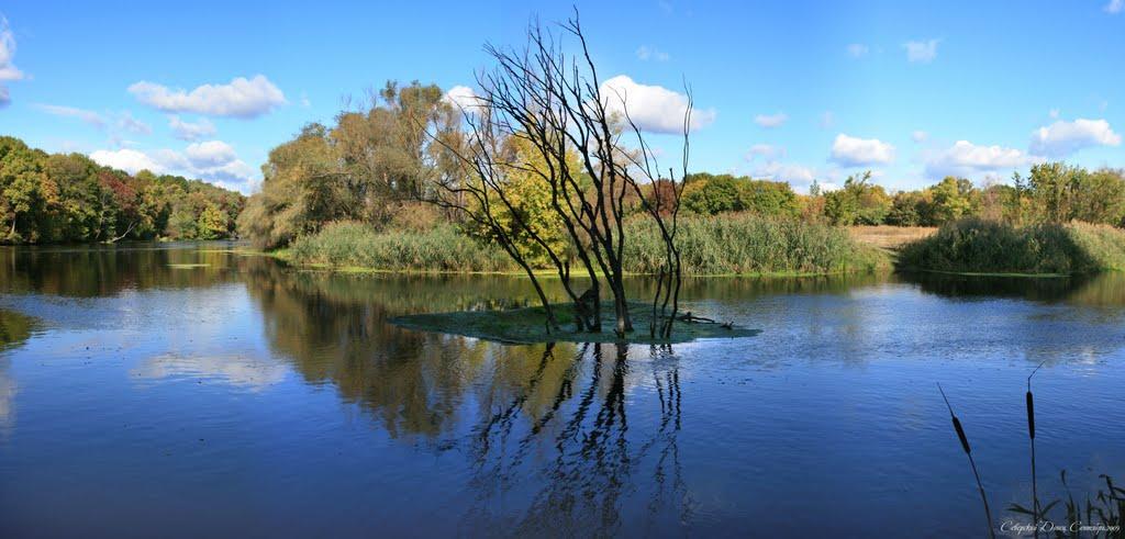 Черемушне з panoramio.com - Черемушное