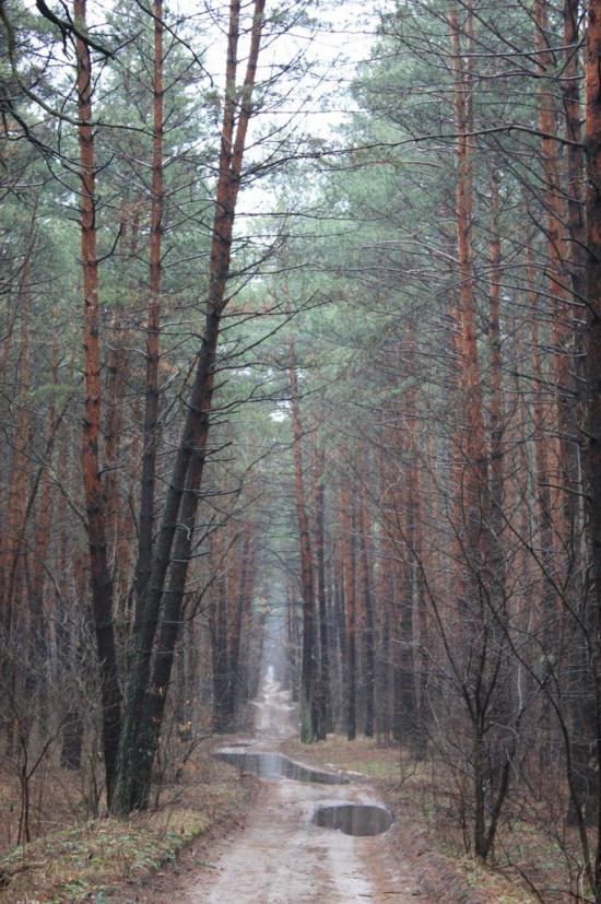 Мохнач з panoramio.com - Мохнач