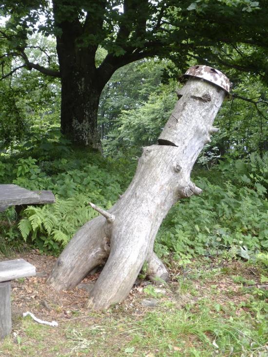 Руський Мочар з panoramio.com - Русский Мочар
