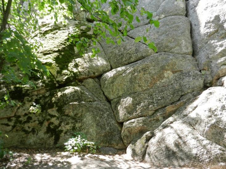 Куріпчине з panoramio.com - Kuripchyne