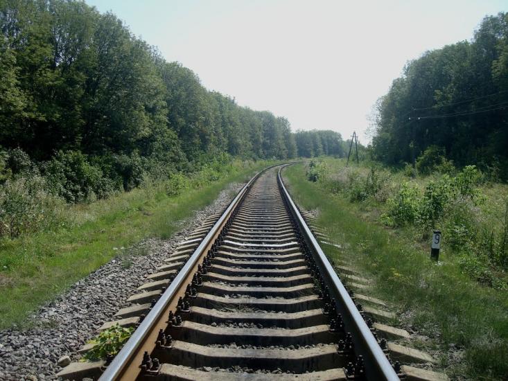 Тарасівка з panoramio.com - Тарасовка