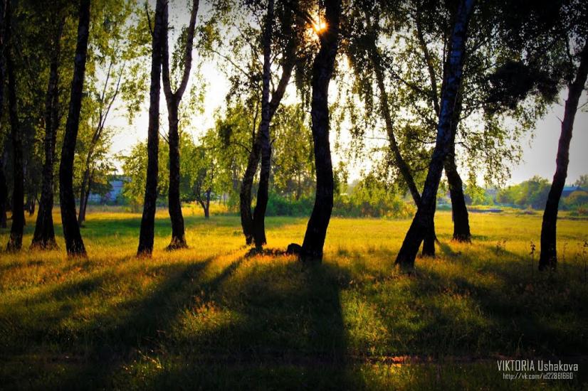 Турійськ з panoramio.com - Турийск