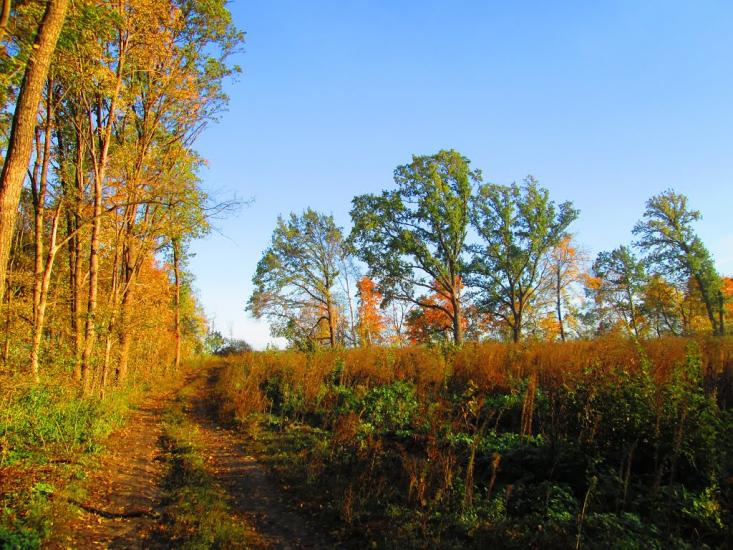 Бірки з panoramio.com - Birky