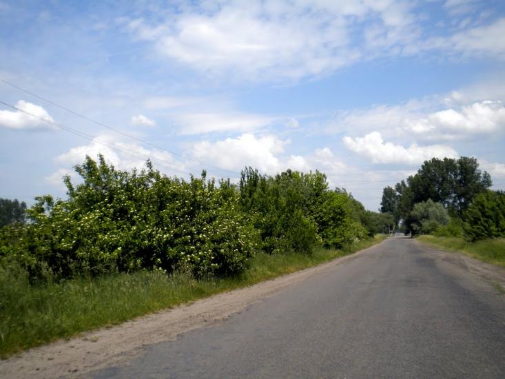 Добросин з panoramio.com - Добросин