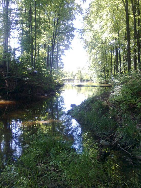 Топорівці з panoramio.com - Топорівці