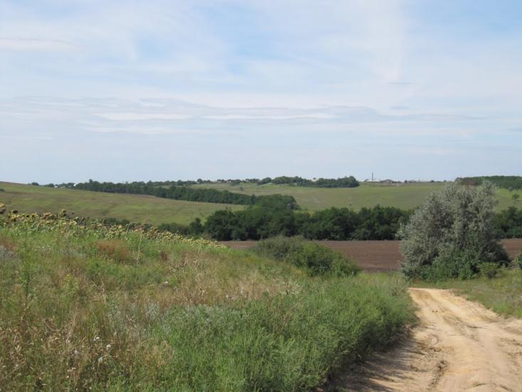 Підлісне з panoramio.com - Pidlisne