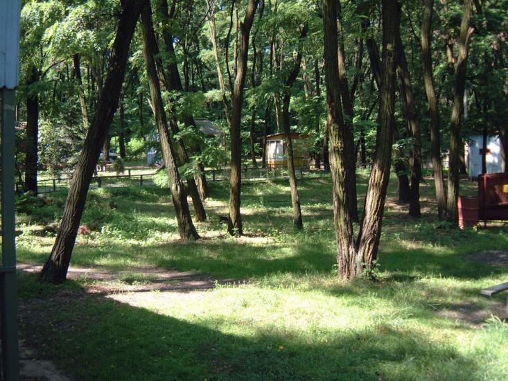 Нагірне з panoramio.com - Nagirne