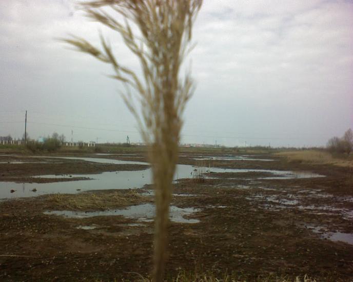 Костопіль з panoramio.com - Костополь