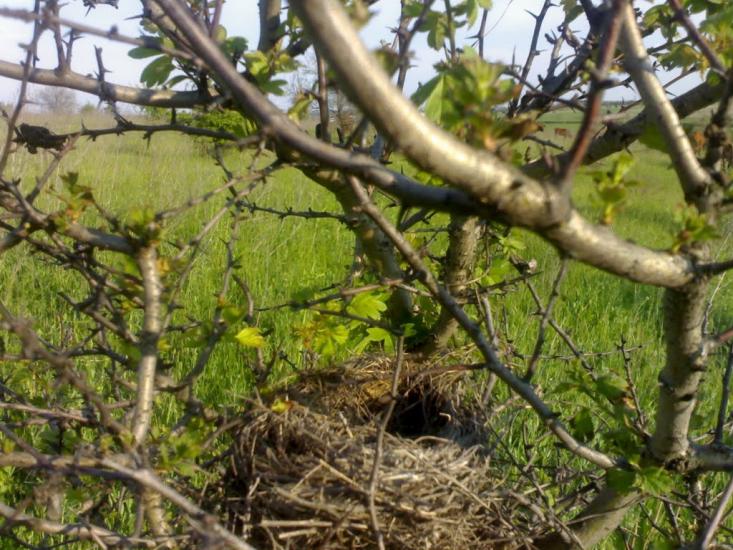 Ленінське Перше з panoramio.com - Ленінське Перше