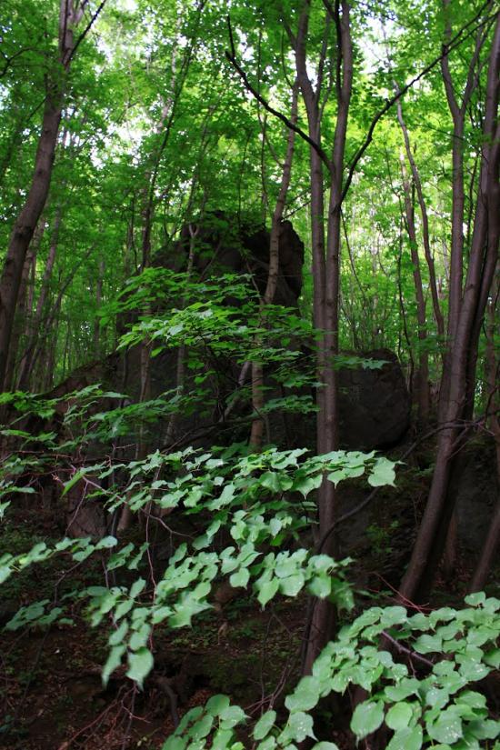 Головенка з panoramio.com - Головенка
