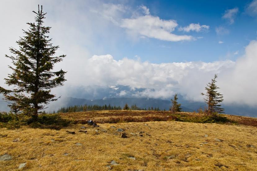 Кривопілля з panoramio.com - Кривопілля