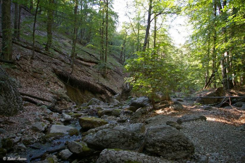Підгородне з panoramio.com - Подгороднее
