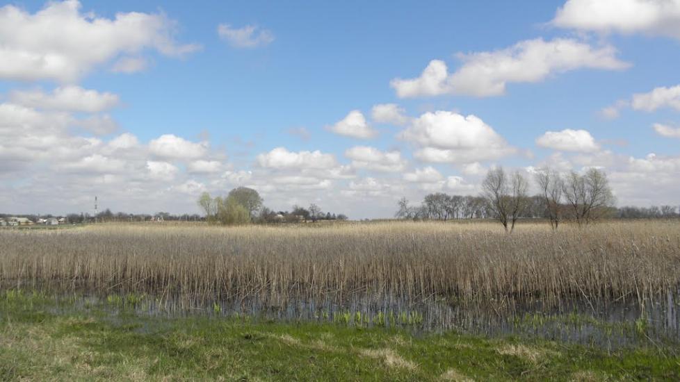 Новооріхівка з panoramio.com - Новооріхівка