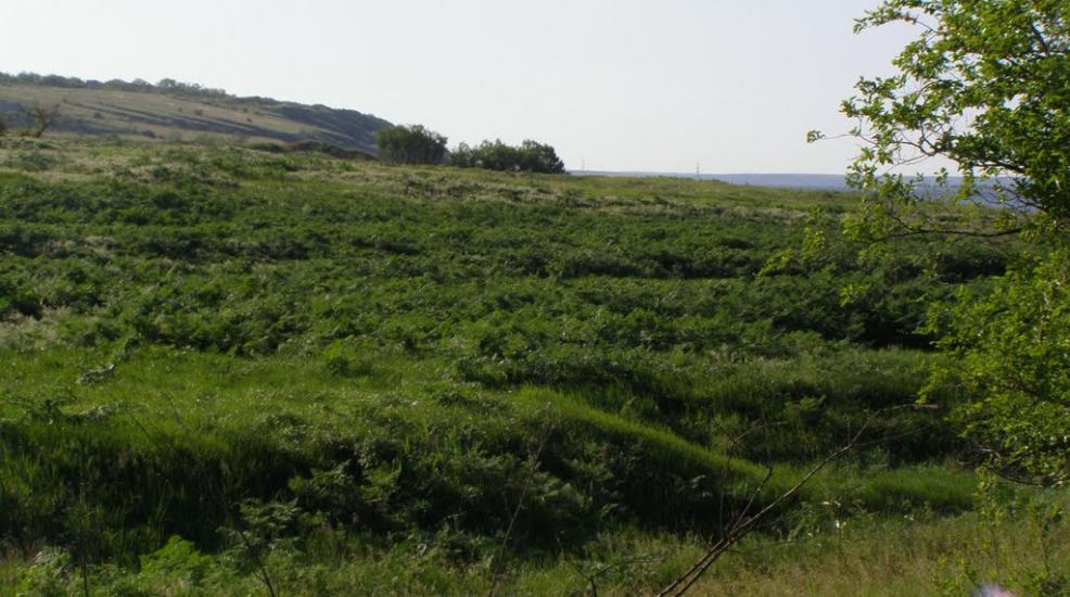 Широке з panoramio.com - Широкое