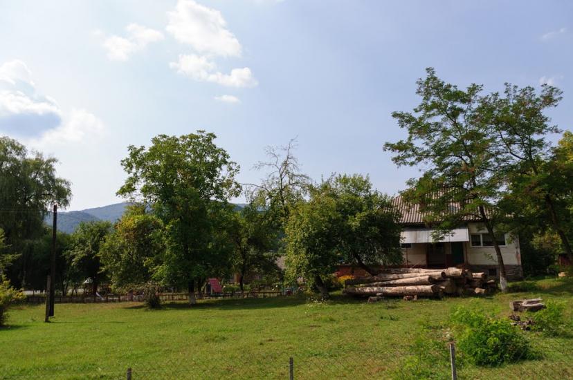 Кострина з panoramio.com - Кострина