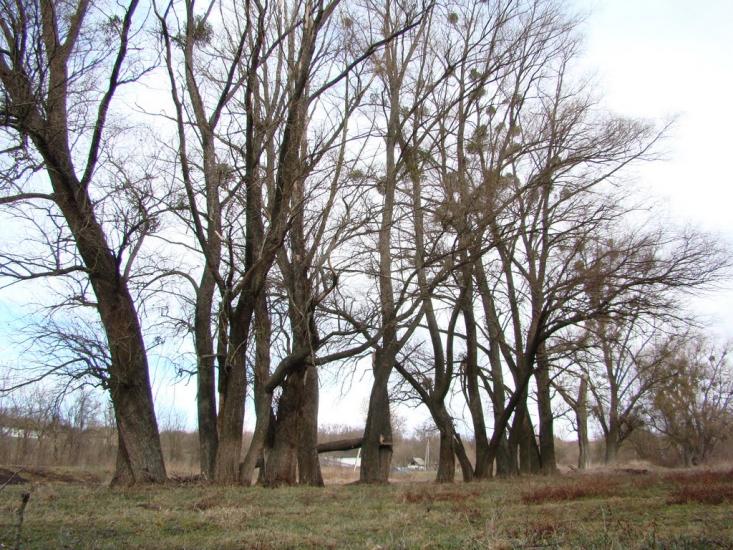 Грушківка з panoramio.com - Grushkivka