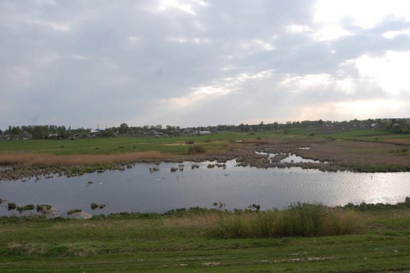 Рогізне з panoramio.com - Рогозное