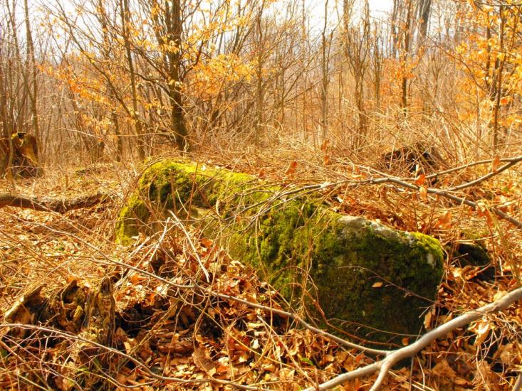 Забрідь з panoramio.com - Забрідь