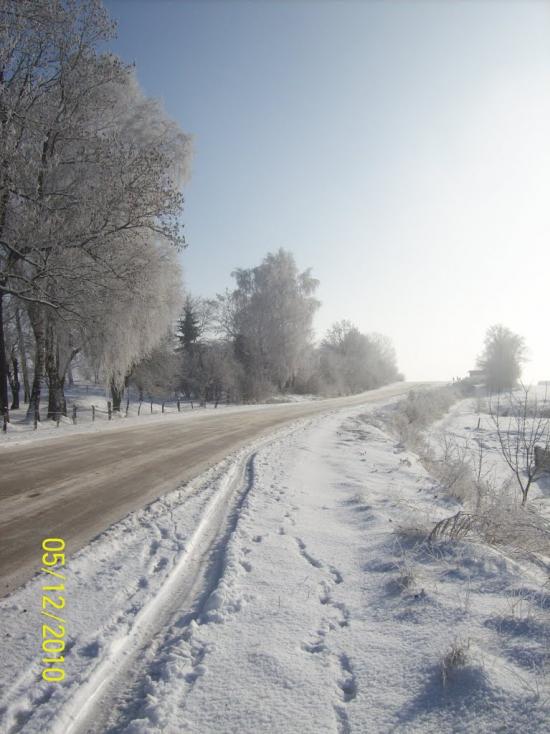 Стрілковичі з panoramio.com - Стрелковичи