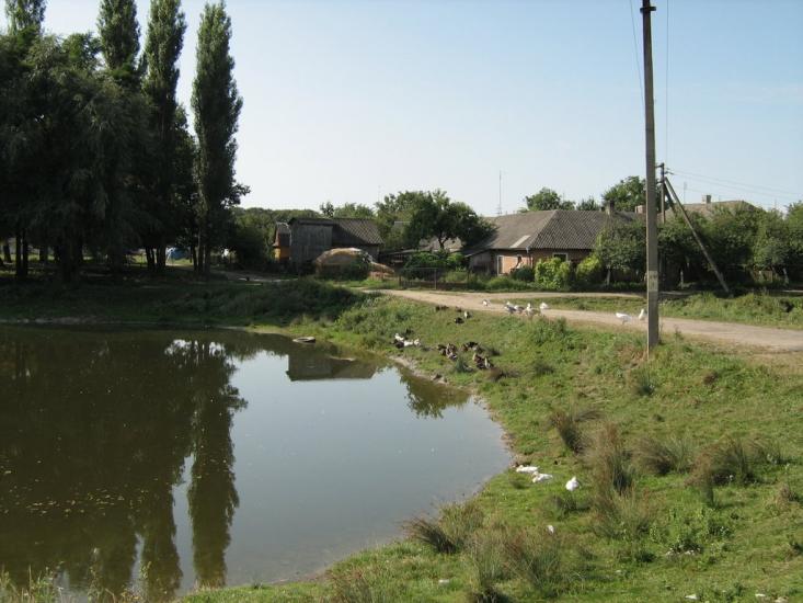 Голоби з panoramio.com - Голобы