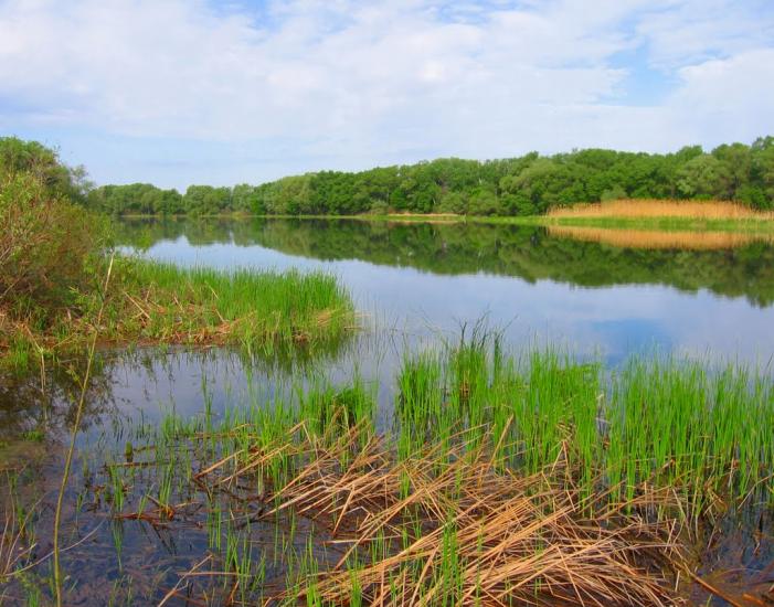 Дзержинське з panoramio.com - Дзержинське