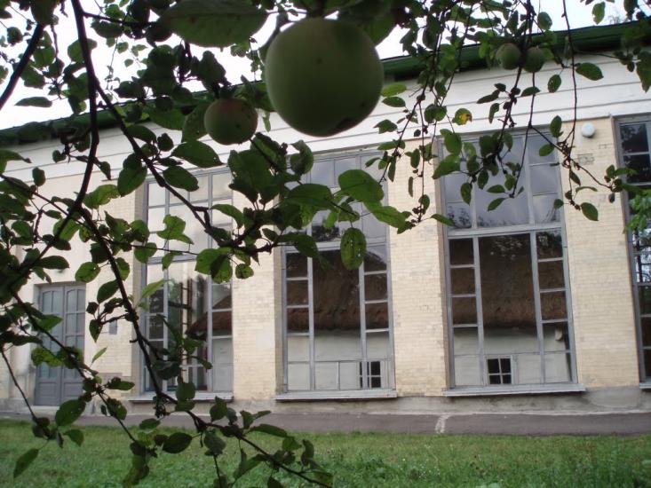Шевченкове з panoramio.com - Шевченкове