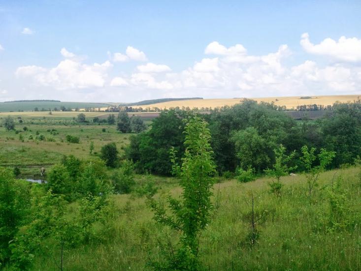 Новоукраїнка з panoramio.com - Новоукраїнка