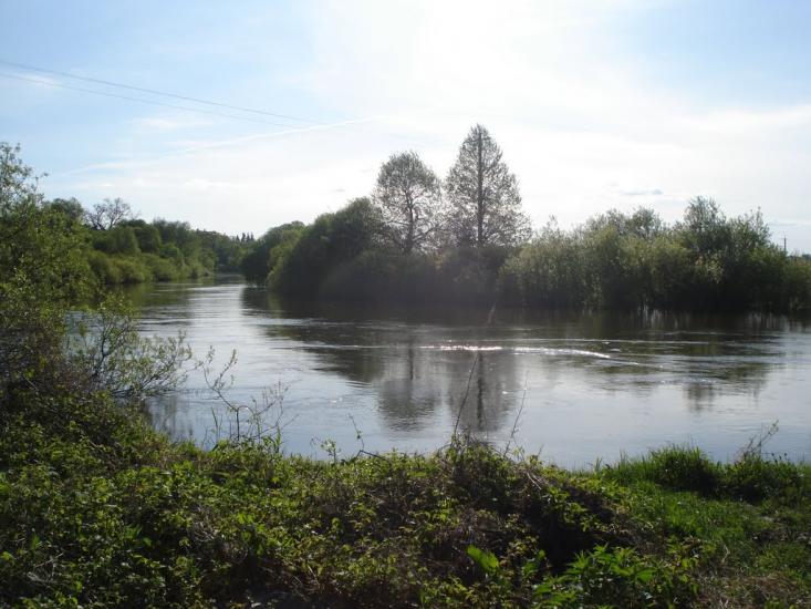 Куликовичі з panoramio.com - Куликовичі